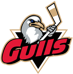 Central Lake Gulls AAA Hockey Team Logo