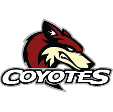 coyotes hockey team
