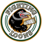Fighting Loons AAA Hockey Team Logo